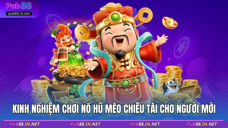 Kinh nghiệm chơi nổ hũ mèo chiêu tài cho người mới