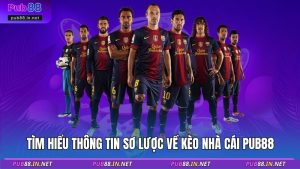 Tìm hiểu thông tin sơ lược về kèo nhà cái PUB88